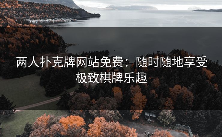 两人扑克牌网站免费：随时随地享受极致棋牌乐趣