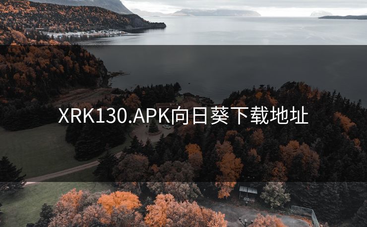 XRK130.APK向日葵下载地址 XRK130.APK向日葵下载地址